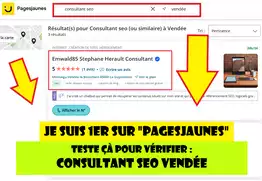consultant seo vendée 1er sur pagesjaunes et google Maps