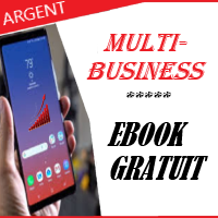 ebook gratuit multi-business